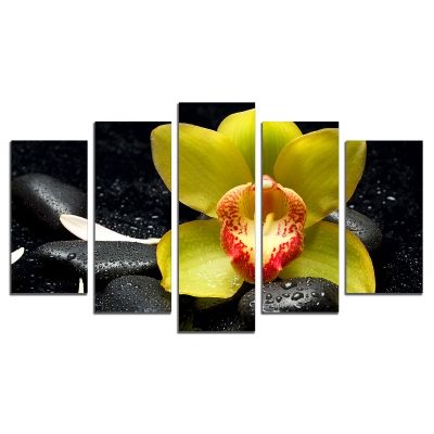 0456 Wall art decoration (set of 5 pieces) Yellow orchid