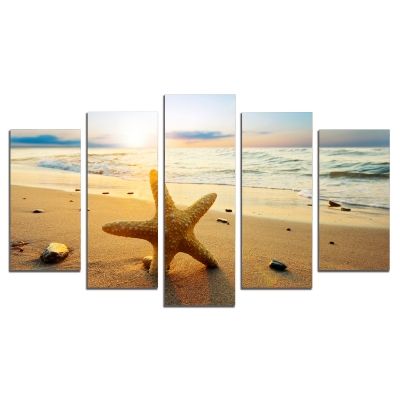 0524 Wall art decoration (set of 5 pieces) Starfish