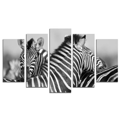 0533 Wall art decoration (set of 5 pieces) Couple zebras