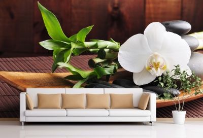 T0117 Wallpaper SPA - white orchid