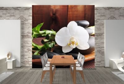 T0117 Wallpaper SPA - white orchid