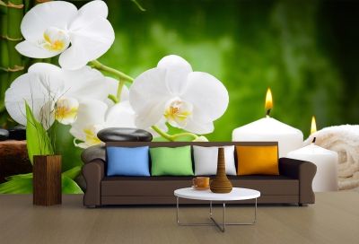 T0146 Wallpaper White orchids on green background