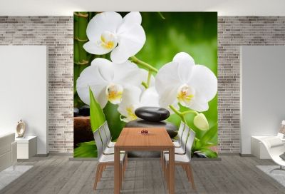 T0146 Wallpaper White orchids on green background