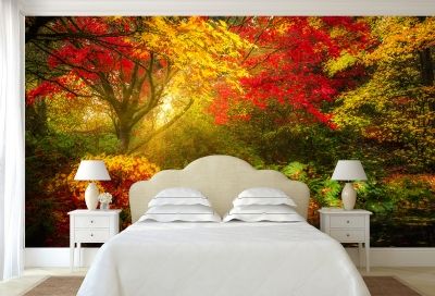 T9008 Wallpaper Colorful forest landscape