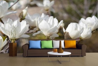 T0327 Wallpaper White magnolia