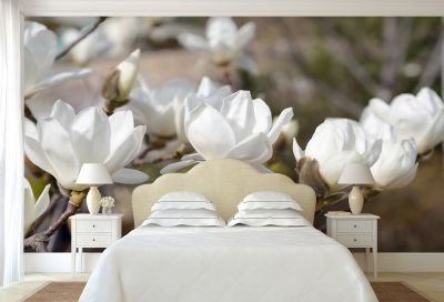 T0327 Wallpaper White magnolia