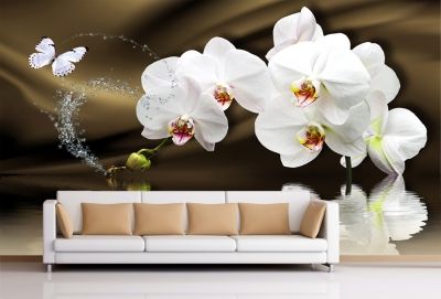 T0750 Wallpaper White orchids on brown background