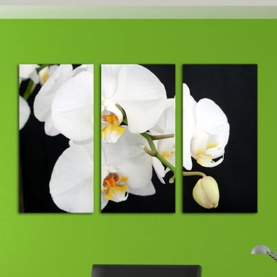 Black and white canvas art with orchids