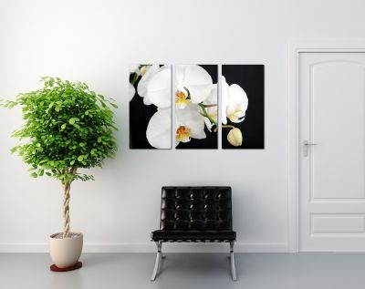 Canvas set with orchids in black and white