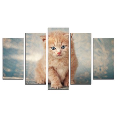 0807 Wall art decoration (set of 5 pieces) Littlecat