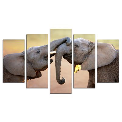 0824 Wall art decoration (set of 5 pieces) Elephant