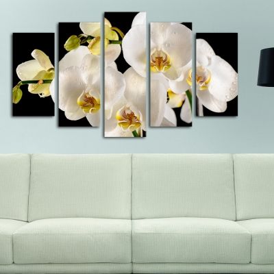 Canvas wall art 5 parts