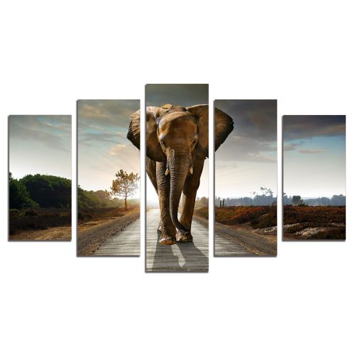 SALE Wall art decoration (set of 5 pieces) 