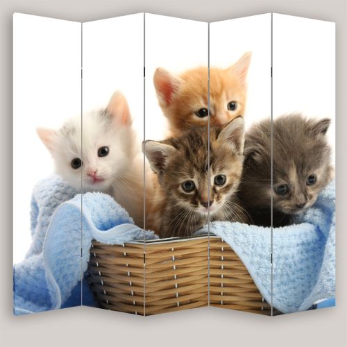 P0425 Decorative Screen Room divider Cute kittens (3,4,5 or 6 panels)