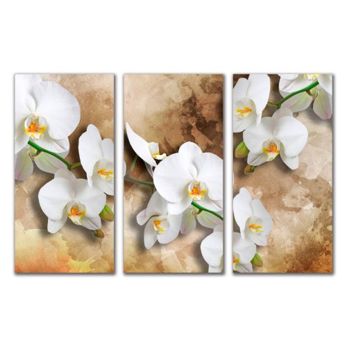 0998 Wall art decoration (set of 3 pieces) Orchids