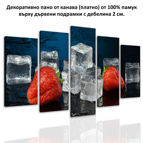 0859 Wall art decoration (set of 5 pieces) Ice with berries