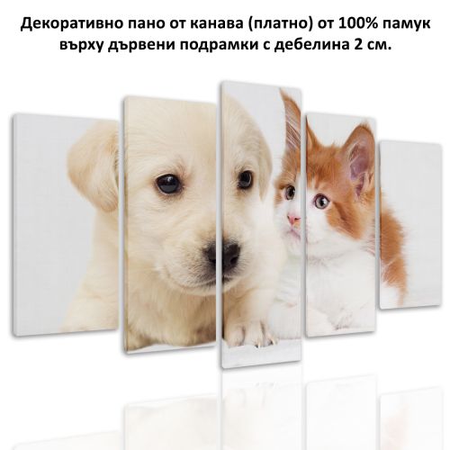 0829 Wall art decoration (set of 5 pieces) Dog and cat