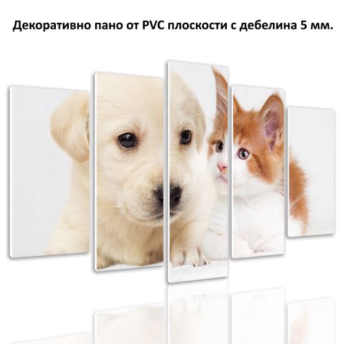 0829 Wall art decoration (set of 5 pieces) Dog and cat