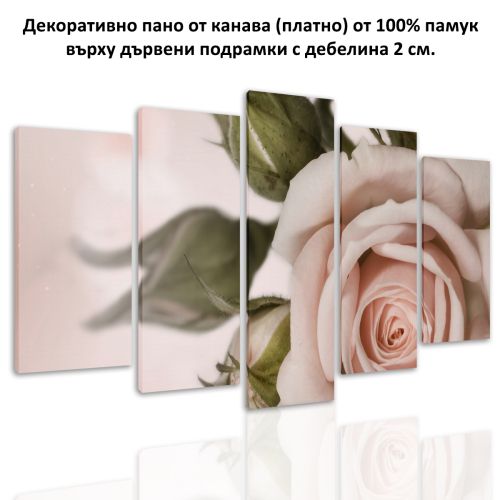 0754 Wall art decoration (set of 5 pieces) Delicate rose