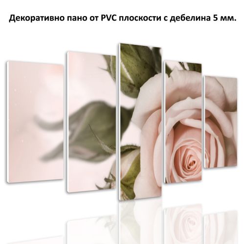 0754 Wall art decoration (set of 5 pieces) Delicate rose