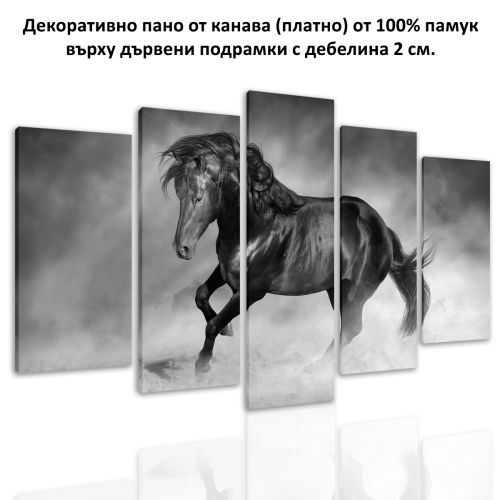 0741 Wall art decoration (set of 5 pieces) Beautiful black horse