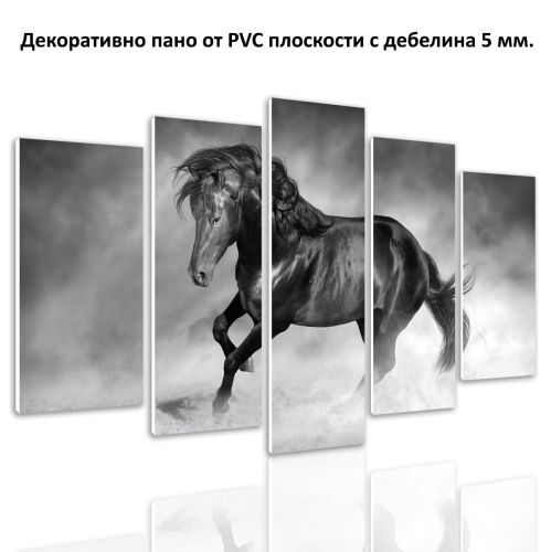 0741 Wall art decoration (set of 5 pieces) Beautiful black horse