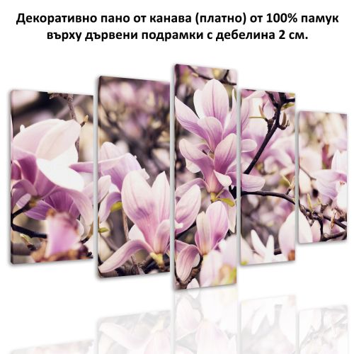 0682 Wall art decoration (set of 5 pieces) Magnolia