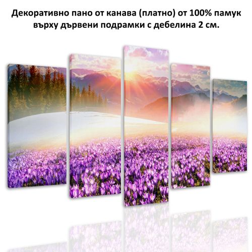 0680 Wall art decoration (set of 5 pieces) Colorful mountain landscape