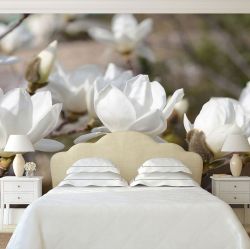 T0327 Wallpaper White magnolia