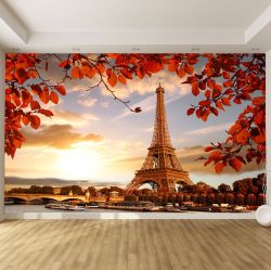 T0397 Фототапет Париж