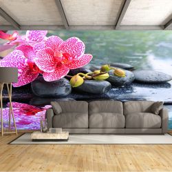 T0728 Wallpaper Zen composition