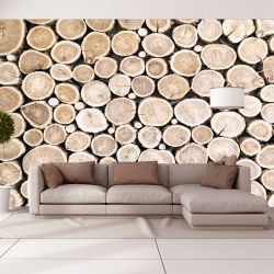T9140 Wallpapper Wooden wall