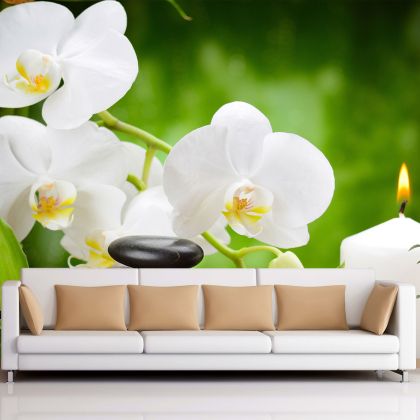 T0146 Wallpaper White orchids on green background