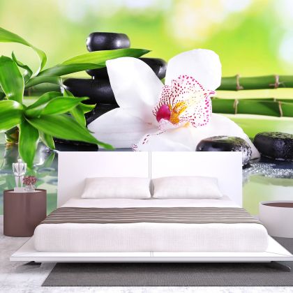 T0162 Wallpaper White orchid with reflection