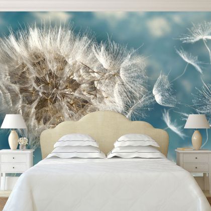 T0649 Wallpaper Dandelion