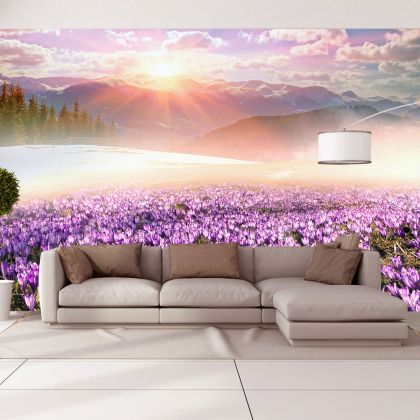 T0680 Wallpaper Colorful mountain landscape