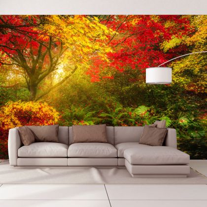 T9008 Wallpaper Colorful forest landscape