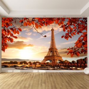 T0397 Фототапет Париж