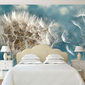 T0649 Wallpaper Dandelion