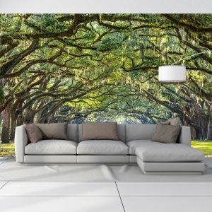 T0666 Wallpaper Forest landscape in green