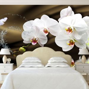 T0750 Wallpaper White orchids on brown background