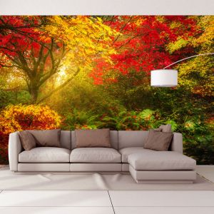 T9008 Wallpaper Colorful forest landscape