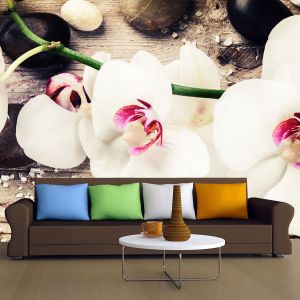 T9054 Wallpaper White orchids