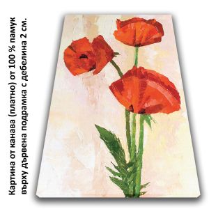 0010 Wall art decoration Art red poppies