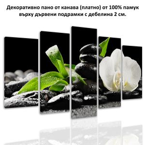 Разпродажба на картини и пана от 5 части за стена